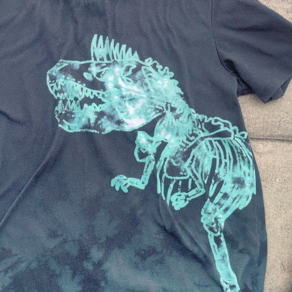Boy Size 6/7 Dinosaur Pajamas - Picture 2 of 4